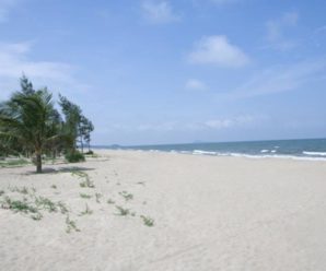 Eureka Linh Trường resort – khu nghỉ dưỡng ở Hoằng Hóa, Thanh Hóa