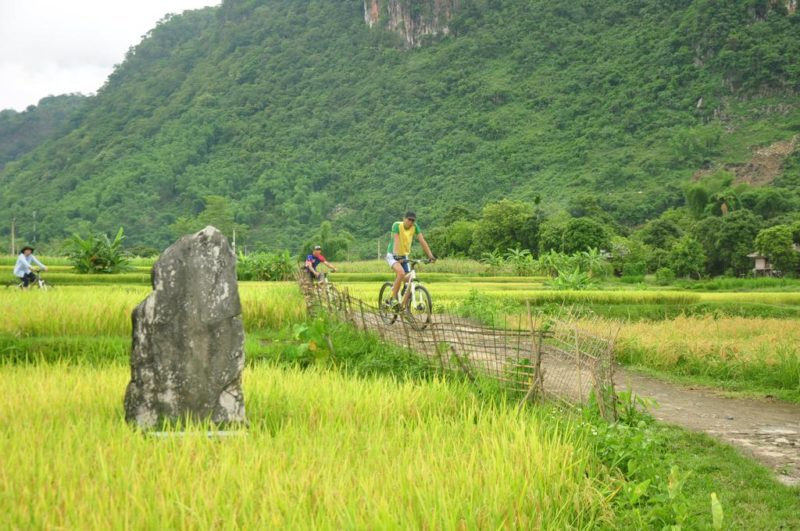 khu-nghi-duong-puluong-retreat-resort-Thanh-Hoa