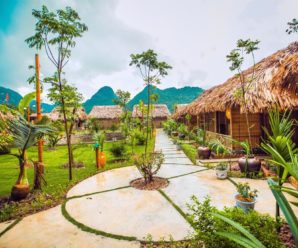 [Review] Tam Cốc Rice Fields Resort Ninh Bình, Hoa Lư có gì, địa chỉ ở đâu?