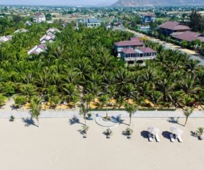 Con Gà Vàng Resort, Ninh Thuận 4 sao
