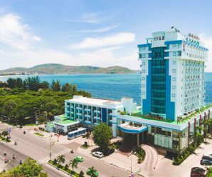 [Review] SEAGULL HOTEL QUY NHON 4 sao