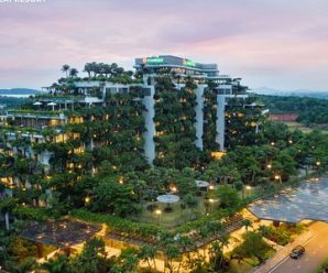 [Mới] biệt thự villa Flamingo Đại Lải Resort Vĩnh Phúc 5 sao 1- 2- 3- 4- 5- 6 phòng ngủ cho thuê giá rẻ