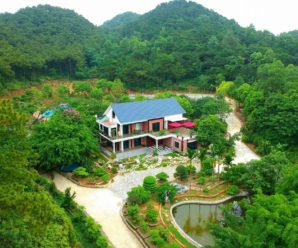[Review] Rừng Thông Xanh Villa Sóc Sơn, Hà Nội có gì, địa chỉ ở đâu?