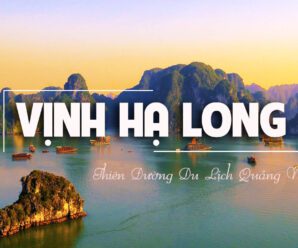 Review các resort ở Hạ Long, Quảng Ninh 4- 5 sao mới tốt đẹp nhất- vị trí, dịch vụ, giá phòng